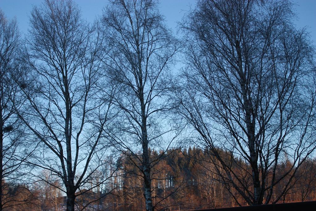 Ferienwohnungen Neukirchen Neukirchen am Teisenberg ภายนอก รูปภาพ