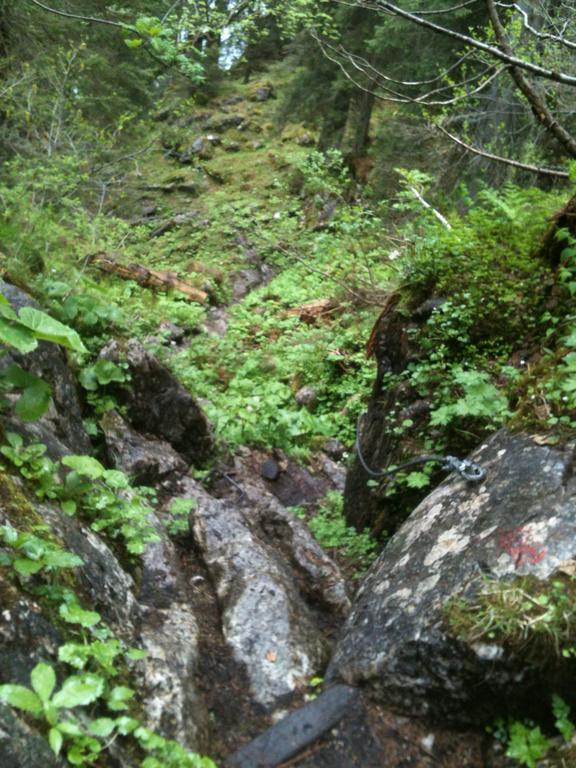 Ferienwohnungen Neukirchen Neukirchen am Teisenberg ภายนอก รูปภาพ