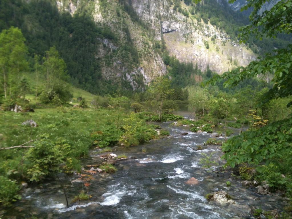 Ferienwohnungen Neukirchen Neukirchen am Teisenberg ภายนอก รูปภาพ